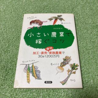 小さい農業で稼ぐコツ 加工・直売・幸せ家族農業で３０ａ１２００万円(科学/技術)