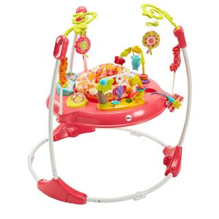 フィッシャープライス(Fisher-Price)の✳︎送料無料　美品　中古　フィッシャープライス　ジャンパルー✳︎(ベビージム)