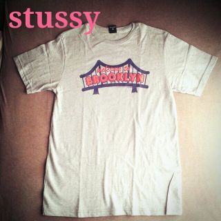 ステューシー(STUSSY)のstussy☆zayn様専用です★(Tシャツ(半袖/袖なし))