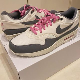 ナイキ(NIKE)のNIKE BY YOU AIRMAX1 28.5cm(スニーカー)