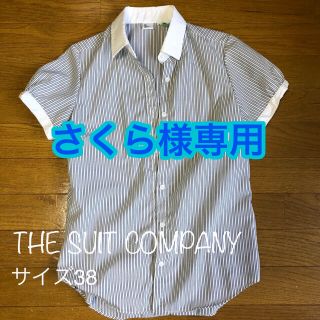 スーツカンパニー(THE SUIT COMPANY)のスーツカンパニー　半袖シャツ　レディース　ボーダー(シャツ/ブラウス(半袖/袖なし))