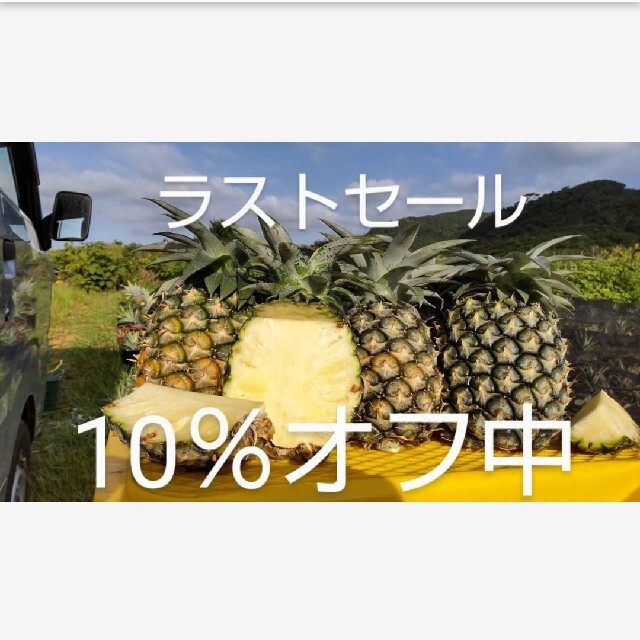 今年最後の大収穫祭！！西表島産島パイン約6㎏（6～9玉） 食品/飲料/酒の食品(フルーツ)の商品写真