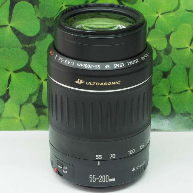 【美品】キャノンEF55-200mm超望遠ズーム⭐️スポーツ、イベントで大活躍