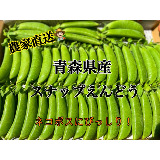 【採れたて】スナップえんどう　青森県産　今が旬！ 食品/飲料/酒の食品(野菜)の商品写真