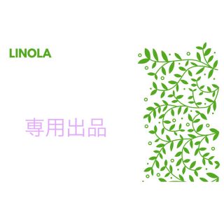 ハルク様専用⭐︎チランジア(その他)