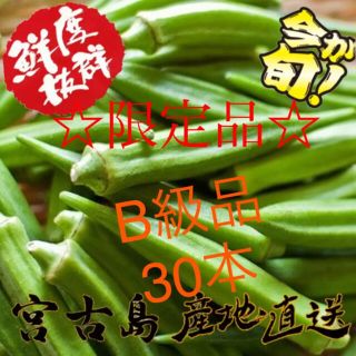 訳あり 沖縄県産 オクラ  30本(野菜)