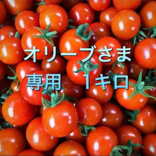 【オリーブ様専用】採れたて！ミニトマト1キロ(野菜)