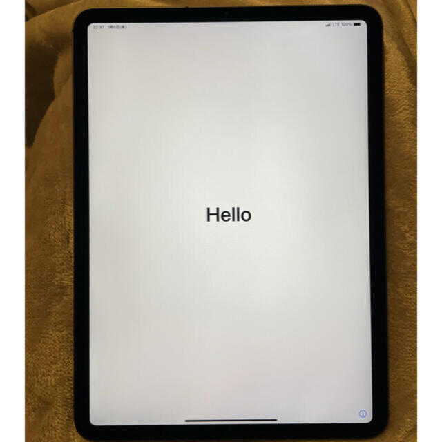 iPad - iPad Pro11インチ(第2世代) 128GB docomo