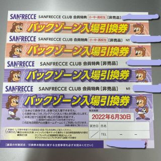 サンフレッチェ広島 バックゾーン入場引換券 大人2枚 小中高校生2枚 グッズ券(サッカー)