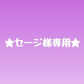 矢沢永吉ステッカー★セージ様専用★(ミュージシャン)