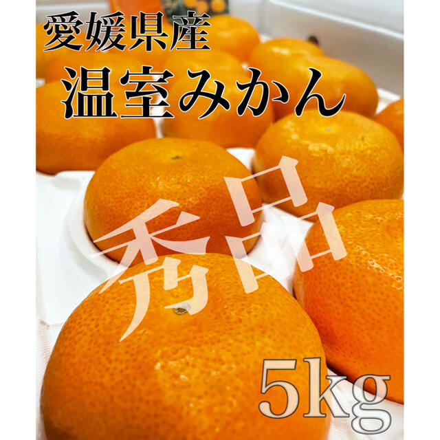 お待たせしました！愛媛県産【ハウスみかん】青秀品　2L 30玉  5kg 食品/飲料/酒の食品(フルーツ)の商品写真