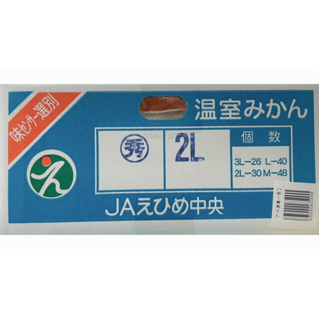 お待たせしました！愛媛県産【ハウスみかん】青秀品　2L 30玉  5kg 食品/飲料/酒の食品(フルーツ)の商品写真