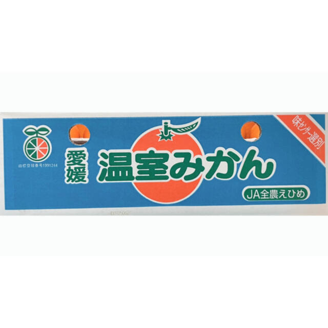 お待たせしました！愛媛県産【ハウスみかん】青秀品　2L 30玉  5kg 食品/飲料/酒の食品(フルーツ)の商品写真