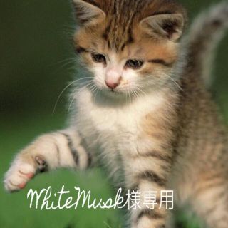 WhiteMusk(その他)