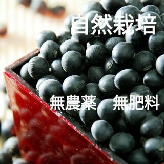 自然栽培　黒大豆　500g 　農薬不使用　自家採種　北海道(野菜)