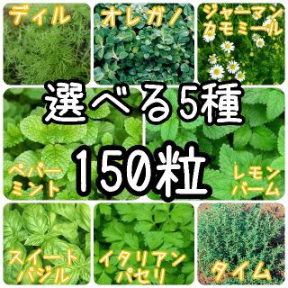 【ハーブの種】選べる5種 150粒 種子(野菜)