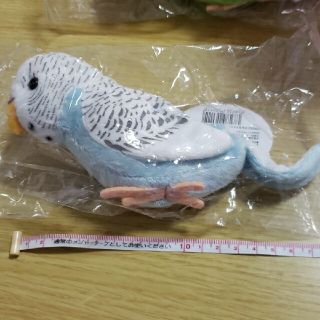 セキセイインコ(ブルー)　マスコット　ぬいぐるみ(ぬいぐるみ)