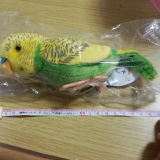 セキセイインコ(グリーン)　マスコット　ぬいぐるみ(ぬいぐるみ)