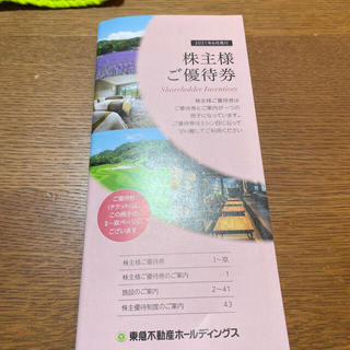 東急不動産ホールディングス　株主優待　抜けあり　5000株以上(その他)