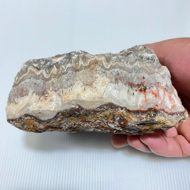 珍しい特大クレージーレースアゲイトの原石