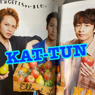 カトゥーン(KAT-TUN)のKAT-TUN 切抜き　ＴＶガイドＰＬＵＳ ＶＯＬ．４３(アート/エンタメ)