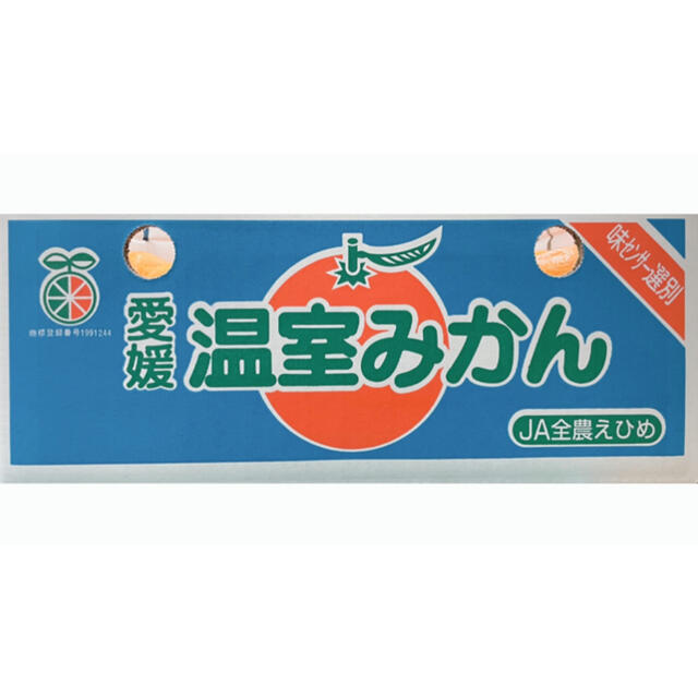 ついに入荷！！愛媛県産【ハウスみかん】Lサイズ　38玉前後  5kg！ 食品/飲料/酒の食品(フルーツ)の商品写真