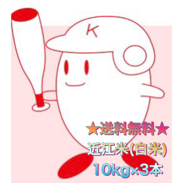 【送料無料】近江のお米　30kg（10kg×３本）