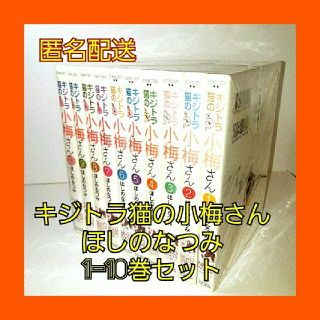 アキタショテン(秋田書店)の(匿名配送)キジトラ猫の小梅さん　1-10巻セット 　ほしのなつみ　少年画報社(女性漫画)