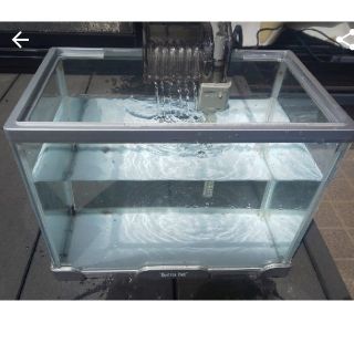 nekoaruaru様専用　水槽セット(その他)