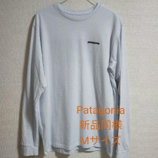 パタゴニア(patagonia)のpatagonia パタゴニア 長袖　P-6　ロゴ　バックプリント　ロンT(Tシャツ/カットソー(七分/長袖))