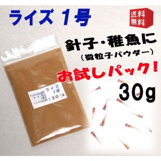 めだか の 餌 エサ◇ライズ１号（針子/微粒子パウダー）３０ｇ◇メダカ えさ②(アクアリウム)