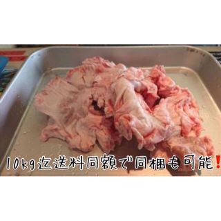 大トロホルモン！超希少北海道産豚きく脂500g きくあぶら 串料理 キク脂 菊脂(肉)