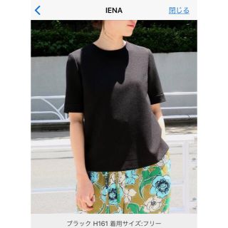 イエナ(IENA)のIENA イエナ クレープノーカラーブラウス新品(シャツ/ブラウス(半袖/袖なし))