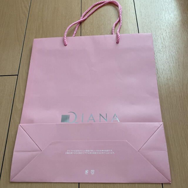 DIANA(ダイアナ)のダイアナ DIANA 紙袋 ショップ袋 ショッパー レディースのバッグ(ショップ袋)の商品写真