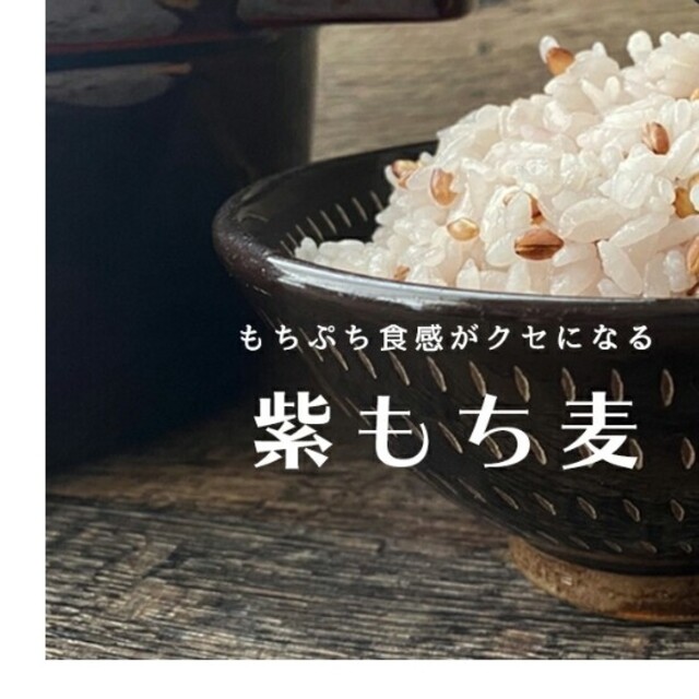 もち麦 紫もち麦 2キロ 食品/飲料/酒の食品(米/穀物)の商品写真