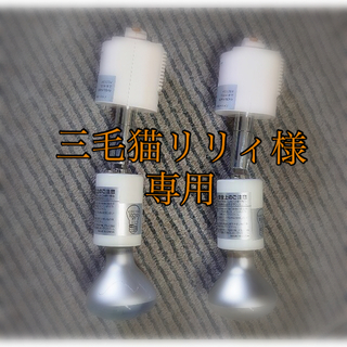 ヤザワコーポレーション(Yazawa)のライティングレール用スポットライト　2個セット　電球付き(その他)
