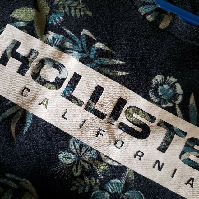 Hollister(ホリスター)のホリスター半袖Tシャツ レディースのトップス(Tシャツ(半袖/袖なし))の商品写真