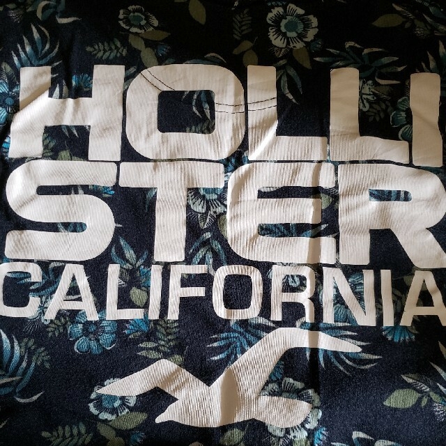 Hollister(ホリスター)のホリスター半袖Tシャツ レディースのトップス(Tシャツ(半袖/袖なし))の商品写真