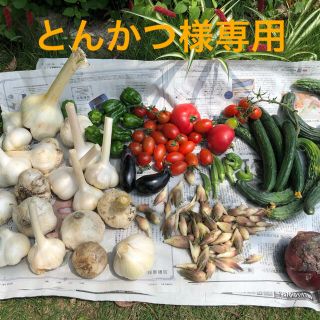 とんかつ様専用　にんにくと野菜セット！(野菜)