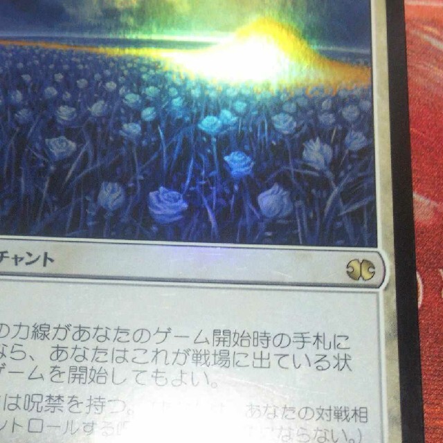 マジック:ザ・ギャザリング - 百以上出品、神聖の力線、foil、傷、MTG
