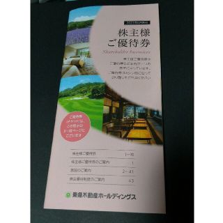 東急不動産ホールディングス株主優待券(最新)冊子セット(一部除く)(その他)