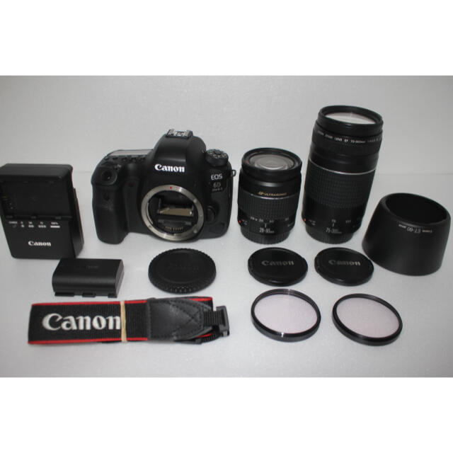 Canon - キャノン Canon EOS 6D Mark II 標準&望遠ダブルレンズセット
