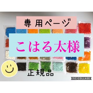 エポック(EPOCH)のアクアビーズ☆100個入り×5袋（こはる太様）(知育玩具)