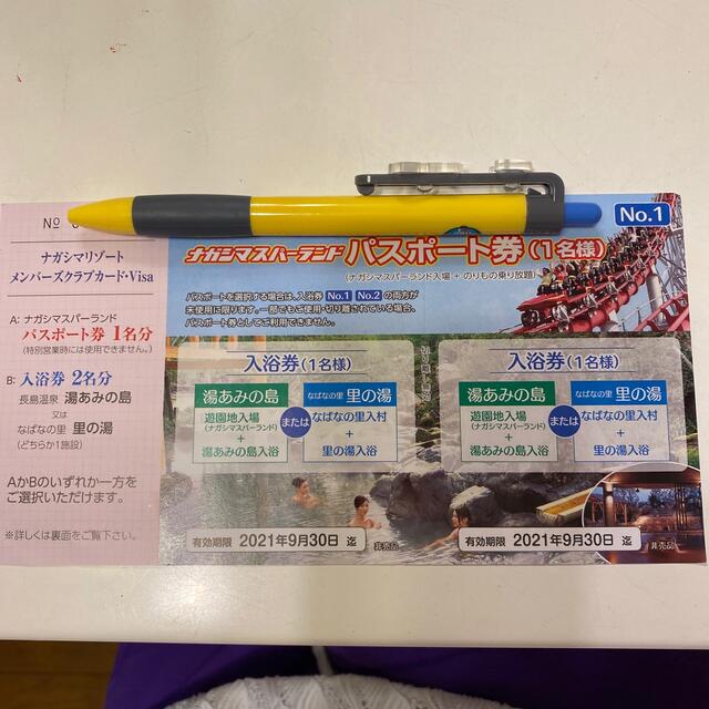 ナガシマスパーランド　パスポート券　1名