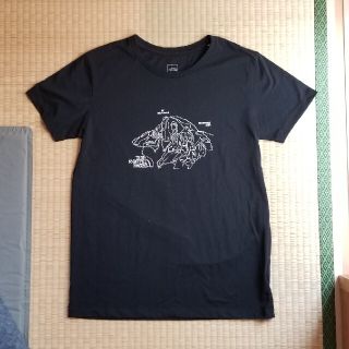 ザノースフェイス(THE NORTH FACE)のザ・ノース・フェイス　ウｨメンズ　半袖Tシャツ(Tシャツ(半袖/袖なし))