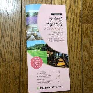 東急不動産株主優待券、東急ハンズ株主優待カード無し(その他)