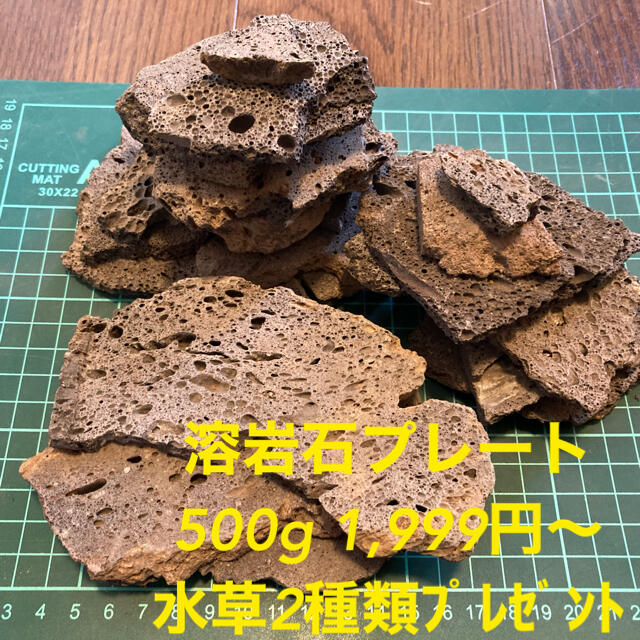 溶岩石プレート 500g 1,999円〜 ＋ 水草2種類ﾌﾟﾚｾﾞﾝﾄ その他のペット用品(アクアリウム)の商品写真