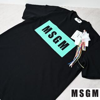 エムエスジイエム(MSGM)の新品 2021SS MSGM ボックスロゴTシャツ(Tシャツ/カットソー(半袖/袖なし))