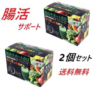 2箱セット　腸活サポート青汁　植物乳酸菌.竹炭入り(青汁/ケール加工食品)