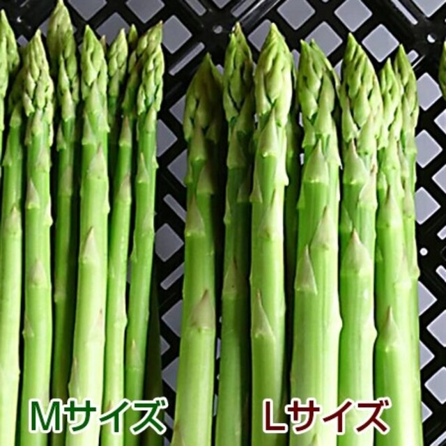 【専用】camico様 食品/飲料/酒の食品(野菜)の商品写真